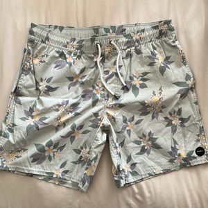 RVCA Mens Walkshorts